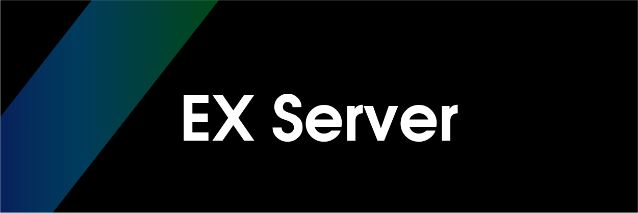 EX Server